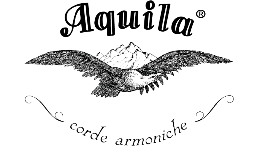 Aquila